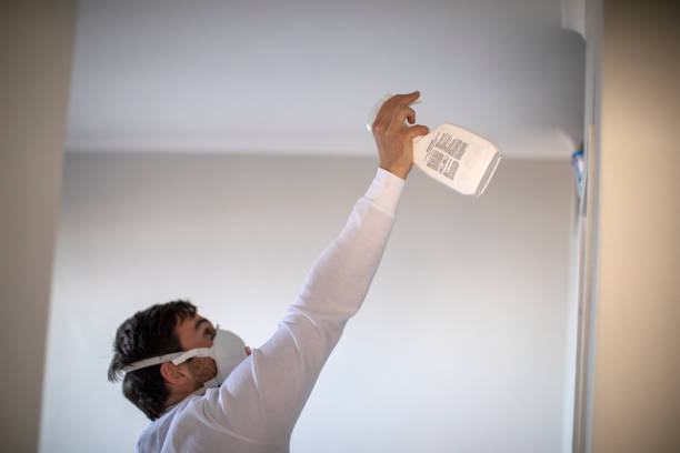 Crawl Space Mold Removal in Terrell, TX
