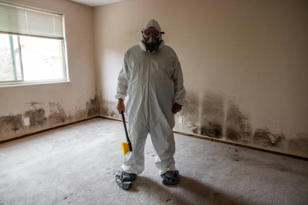 Best Office Mold Removal Services  in Terrell, TX